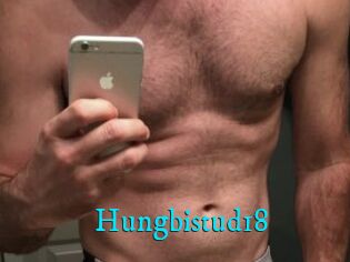 Hungbistud18