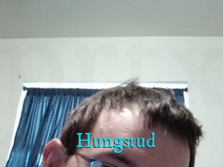 Hungstud