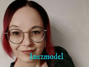 Inezmodel