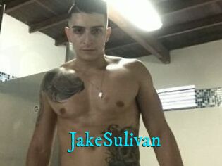 Jake_Sulivan