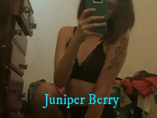 Juniper_Berry