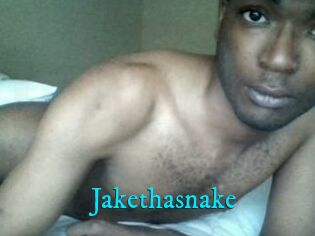 Jake_tha_snake