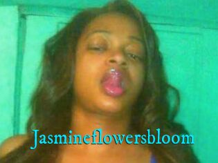 Jasmineflowersbloom