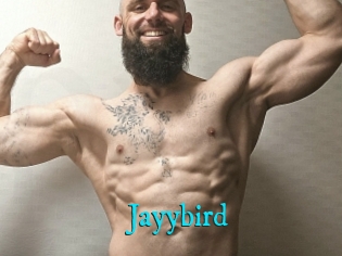 Jayybird