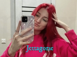 Jettagorse