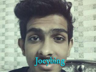 Joeybing