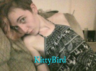 KittyBird