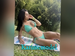 Karimemodel