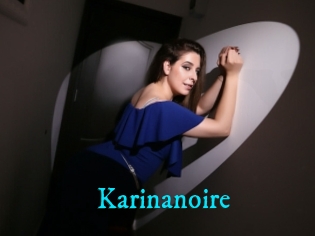 Karinanoire