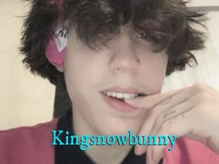 Kingsnowbunny