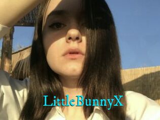 LittleBunnyX