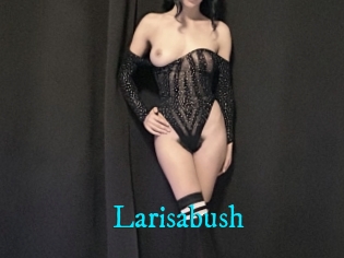 Larisabush