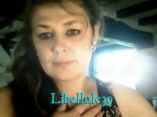 Libellule39