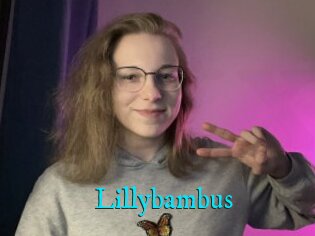 Lillybambus