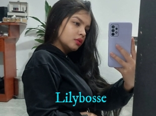 Lilybosse