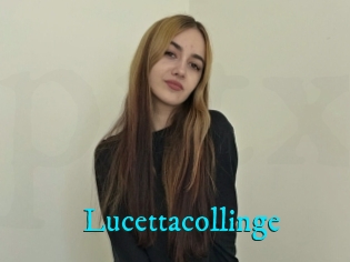 Lucettacollinge