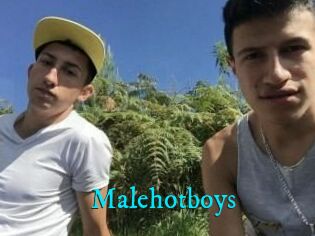 Malehotboys