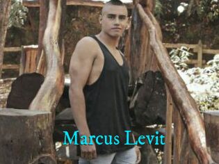 Marcus_Levit