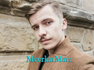 MeerkatMatt