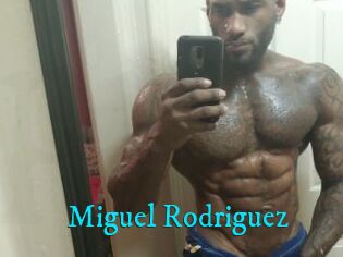 Miguel_Rodriguez