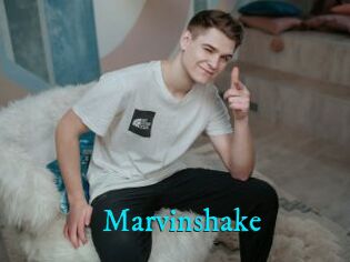 Marvinshake