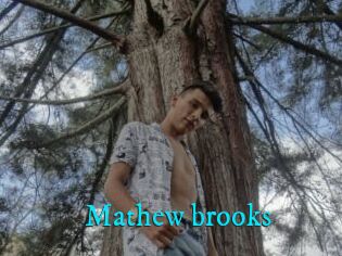 Mathew_brooks