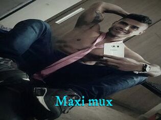 Maxi_mux