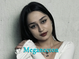 Meganecton