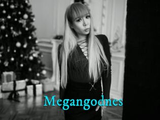 Megangodnes