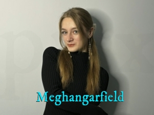 Meghangarfield