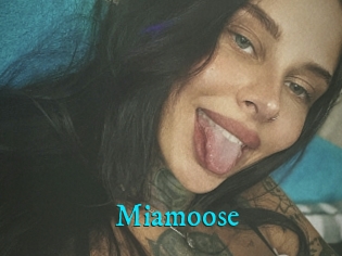 Miamoose