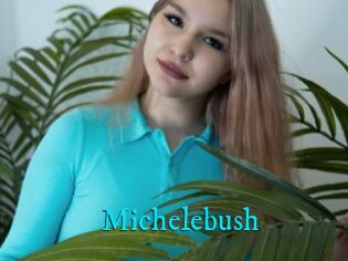 Michelebush