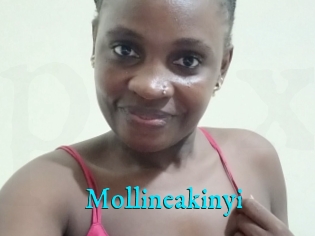 Mollineakinyi