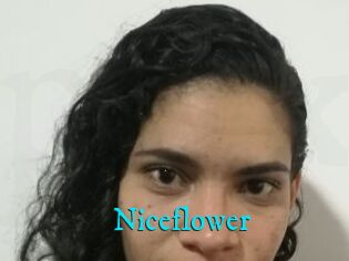 Nice_flower