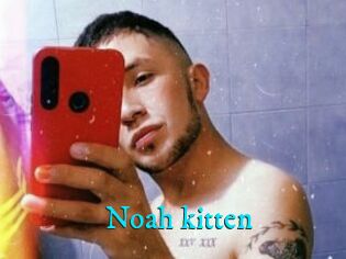 Noah_kitten