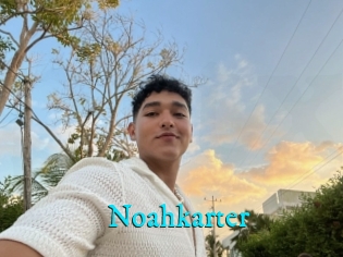 Noahkarter