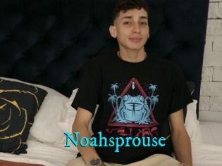 Noahsprouse