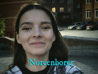 Noreenborer
