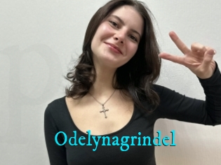 Odelynagrindel