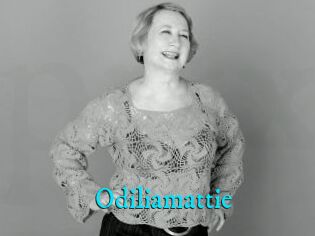 Odiliamattie