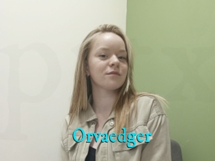 Orvaedger