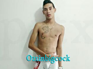 Oztinbigcock