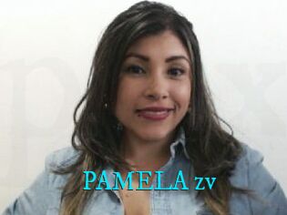 PAMELA_zv