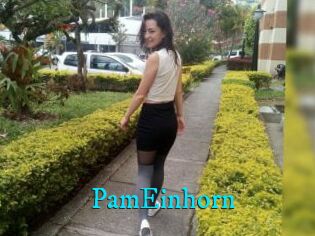 PamEinhorn