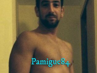 Pamigue84