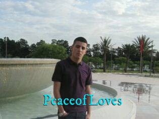 PeaceofLoves