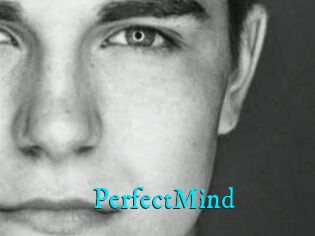 PerfectMind