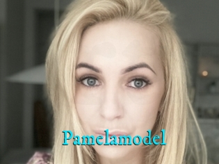 Pamelamodel