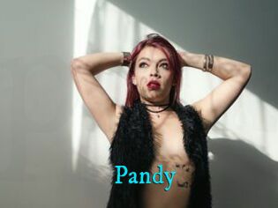 Pandy