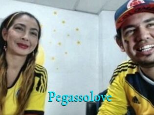 Pegasso_love